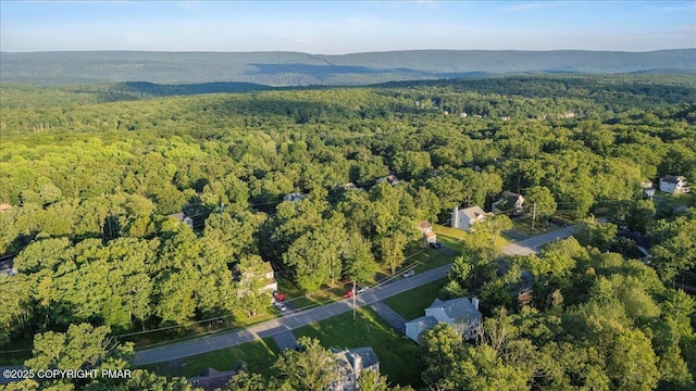 223 Kensington Dr, Bushkill, PA 18324 - photo 35
