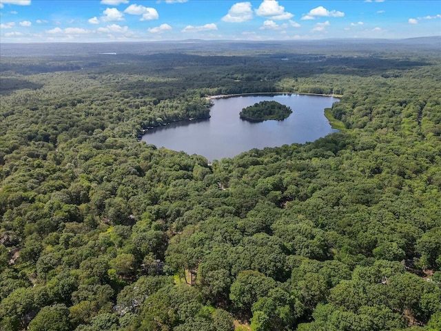 275 Selig Rd, Pocono Lake, PA 18347 - aerial view of a forest and a large body of water