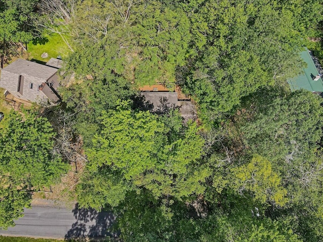 275 Selig Rd, Pocono Lake, PA 18347 - aerial view of property and surrounding area