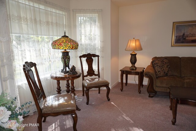 sitting room with a healthy amount of sunlight, baseboards, and carpet floors