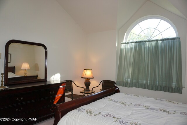 bedroom featuring vaulted ceiling