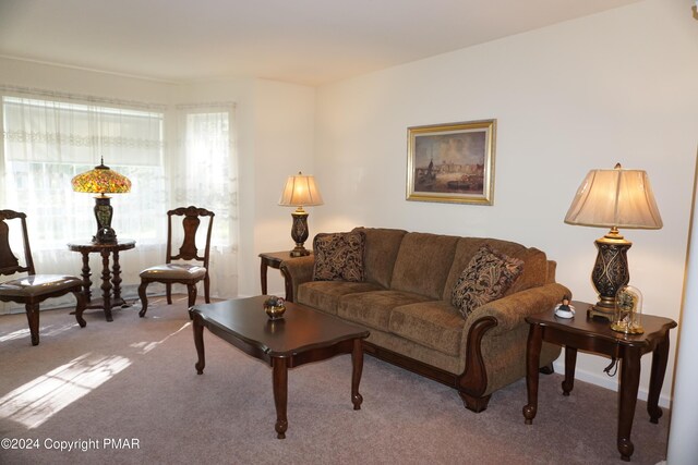 living area featuring carpet flooring