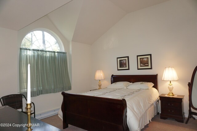 bedroom featuring carpet flooring, lofted ceiling, and a baseboard radiator