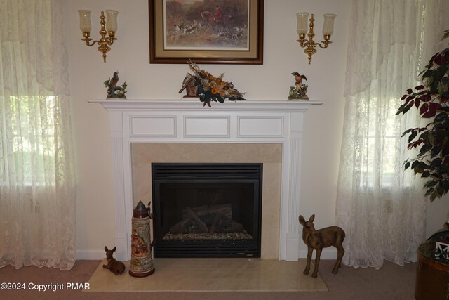 details with a fireplace with flush hearth