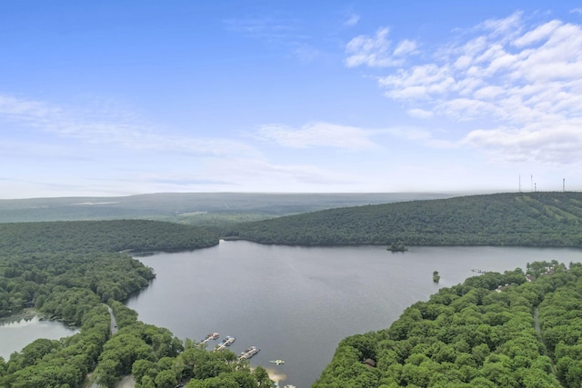 property view of water with a wooded view