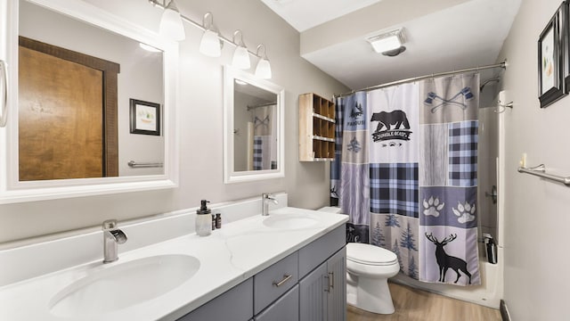 bathroom with double vanity, wood finished floors, toilet, and a sink