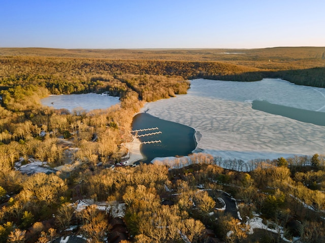 bird's eye view with a forest view and a water view