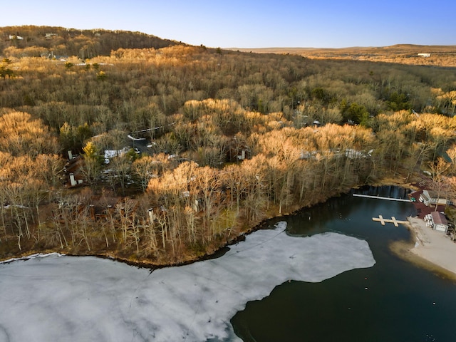 drone / aerial view featuring a wooded view and a water and mountain view