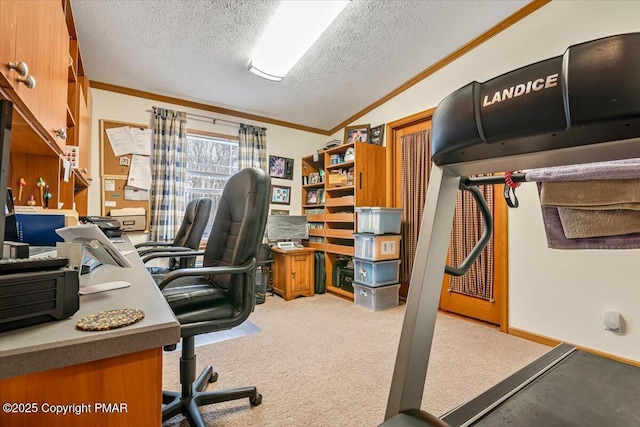 office with a textured ceiling, carpet floors, and ornamental molding