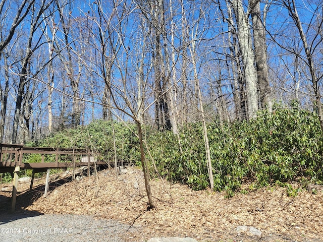 2153 Gravel Rd, Canadensis, PA 18325 - view of yard