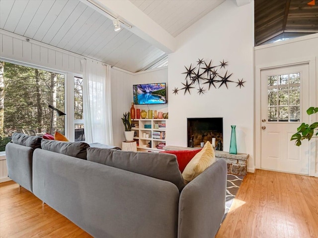 1109 Cedar Knoll Way, Pocono Pines, PA 18350 - living room featuring light wood-type flooring, rail lighting, healthy amount of natural light, and a fireplace with raised hearth