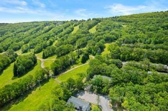 152 Cross Country Ln, Tannersville, PA 18372 - photo 14