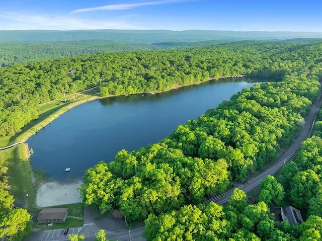 2236 Eagle Path, Bushkill, PA 18324 - aerial view of property's location with a forest and a nearby body of water