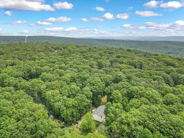2236 Eagle Path, Bushkill, PA 18324 - bird's eye view of a heavily wooded area