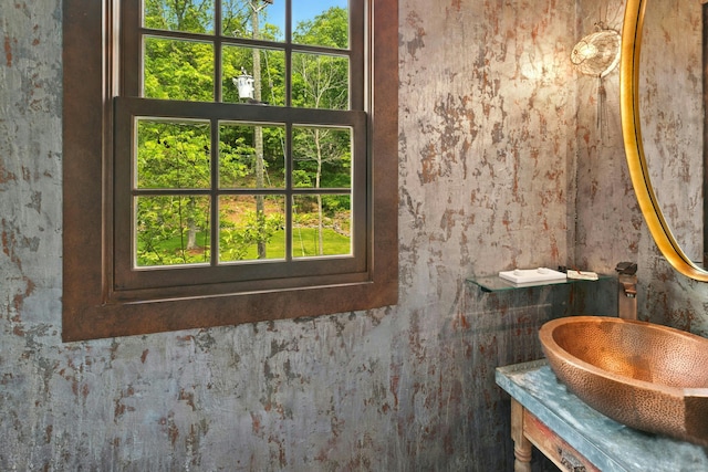 282 Crabapple Ln, East Stroudsburg, PA 18302 - bathroom featuring vanity and plenty of natural light