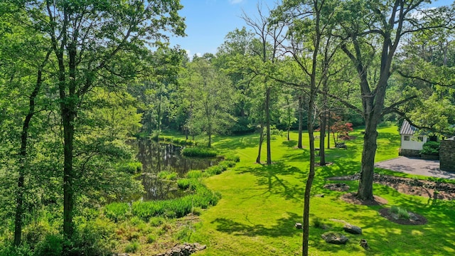 282 Crabapple Ln, East Stroudsburg, PA 18302 - surrounding community featuring a lawn