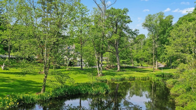 282 Crabapple Ln, East Stroudsburg, PA 18302 - water view