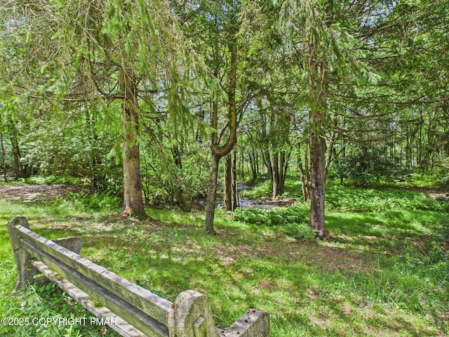 154 Log Rd, Pocono Lake, PA 18347 - photo 33