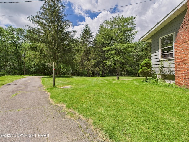154 Log Rd, Pocono Lake, PA 18347 - photo 4