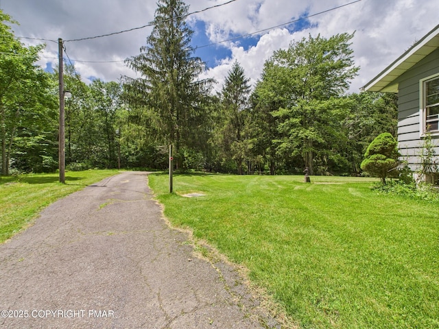 154 Log Rd, Pocono Lake, PA 18347 - photo 36