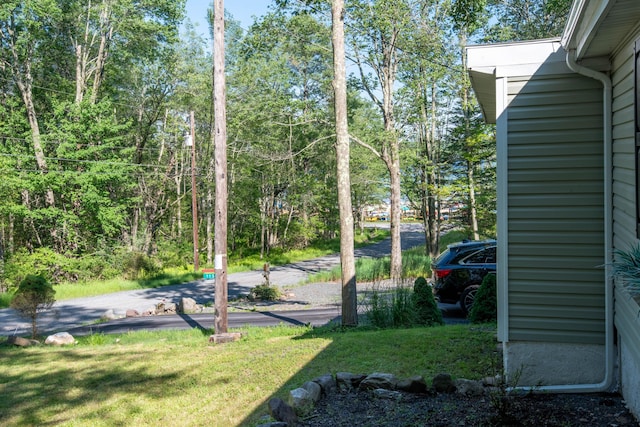 115 Squaw Trl, Pocono Lake, PA 18347 - view of grassy yard