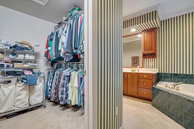 1319 Poulos Ct, Stroudsburg, PA 18360 - walk in closet featuring light carpet