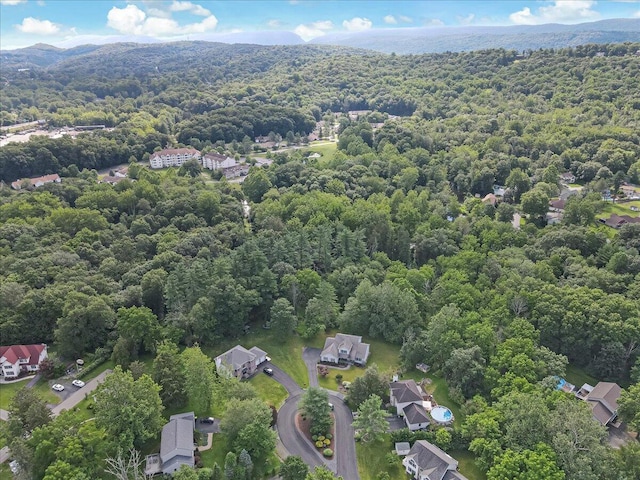 1319 Poulos Ct, Stroudsburg, PA 18360 - aerial view of a forest