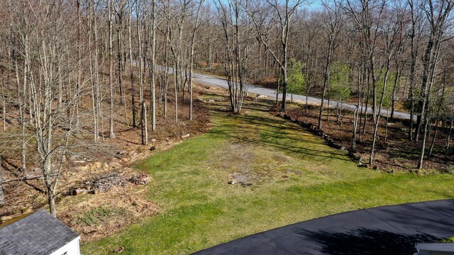 1280 Sandspring Rd, Bear Creek Township, PA 18702 - photo 45
