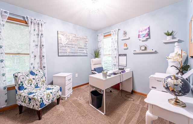 1154 Park Dr, East Stroudsburg, PA 18302 - office with light colored carpet and baseboards