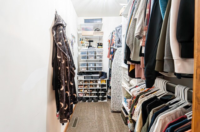 1154 Park Dr, East Stroudsburg, PA 18302 - spacious closet with carpet