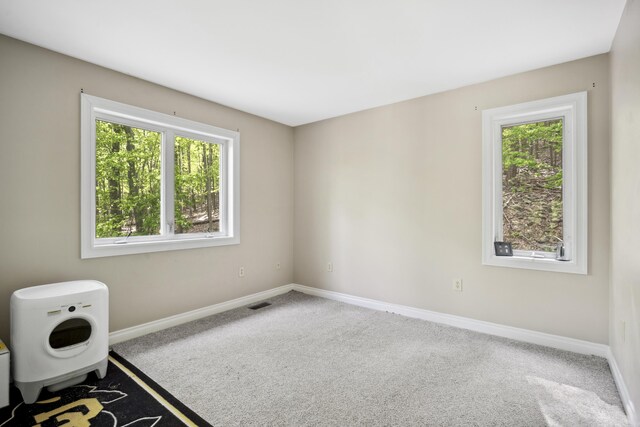 79 Muskegon Cir, Hazle Township, PA 18202 - photo 57