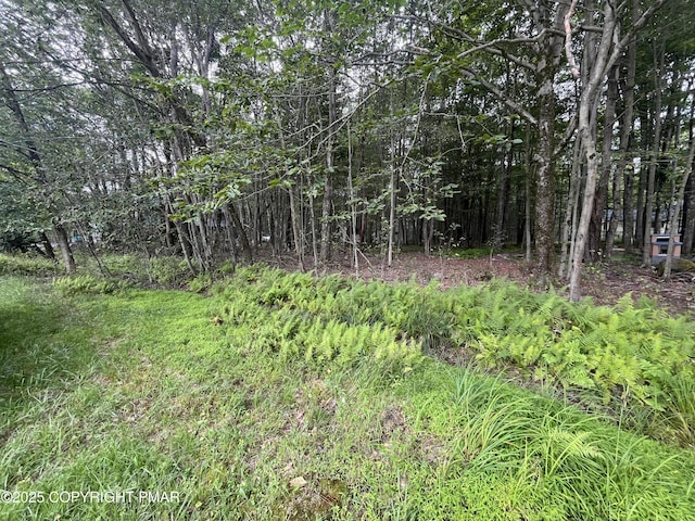 4108 Catawissa Dr, Pocono Lake, PA 18347 - photo 10