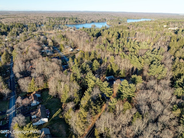 bird's eye view with a water view and a wooded view