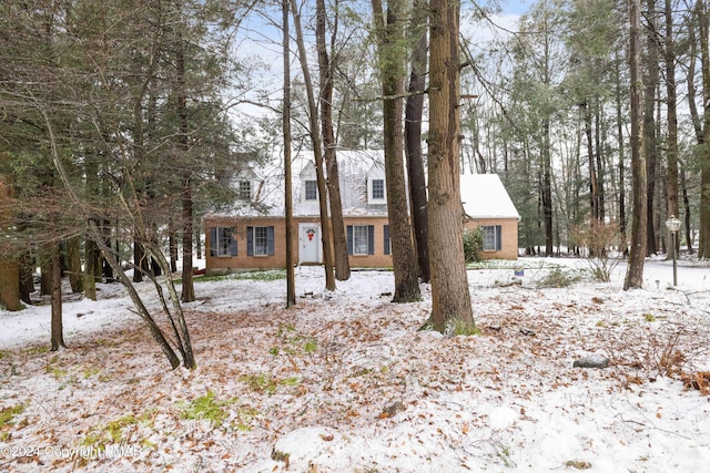 cape cod-style house with brick siding