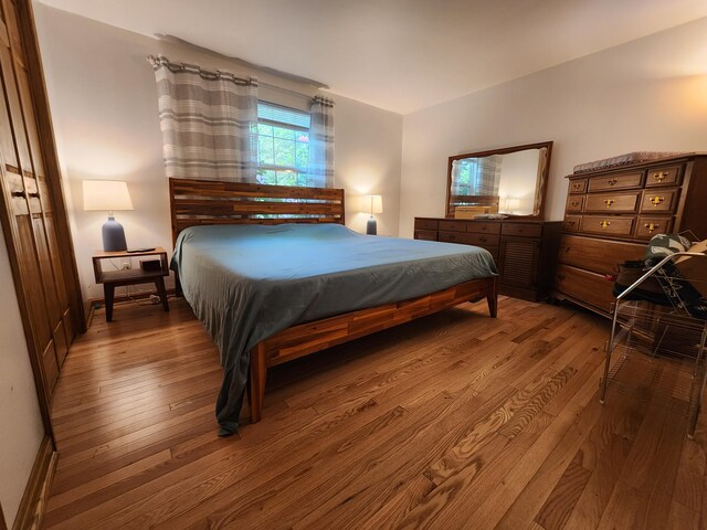 9 Theocritus Cir, Albrightsville, PA 18210 - bedroom with hardwood / wood-style flooring and baseboards