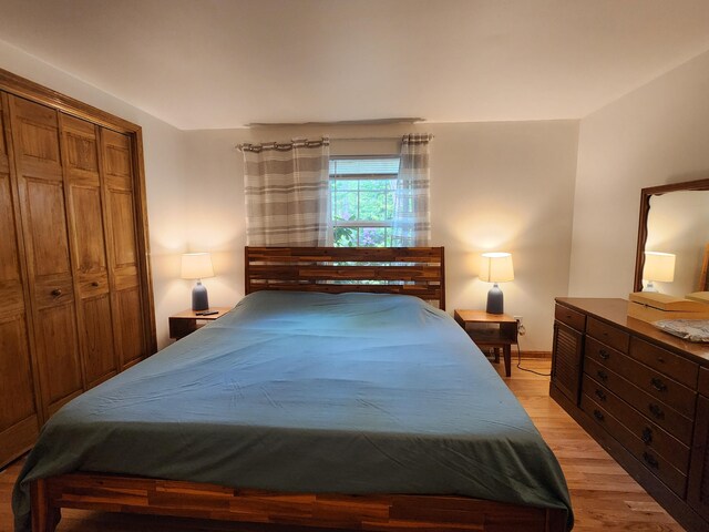 9 Theocritus Cir, Albrightsville, PA 18210 - bedroom with light wood-style floors