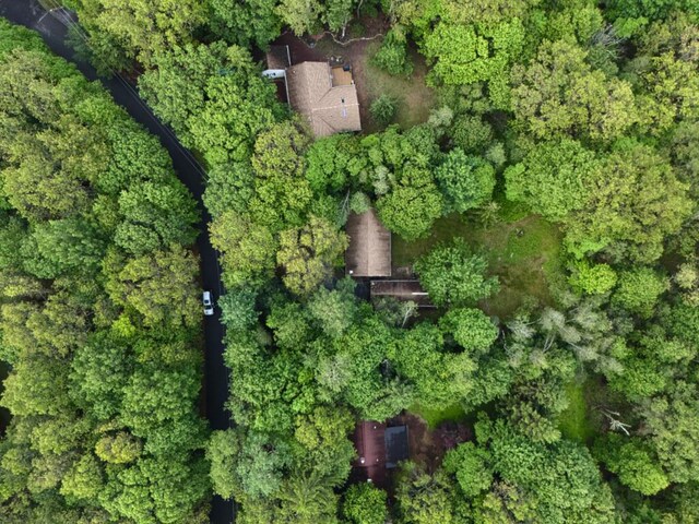 9 Theocritus Cir, Albrightsville, PA 18210 - aerial view of property and surrounding area