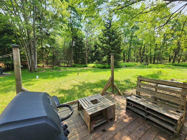 9 Theocritus Cir, Albrightsville, PA 18210 - wooden deck with a lawn and grilling area