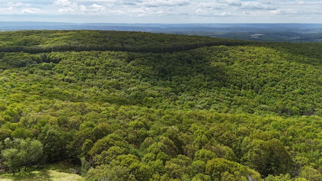 Arciel Dr, Albrightsville, PA 18210