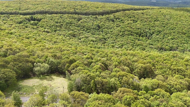 Arciel Dr, Albrightsville, PA 18210