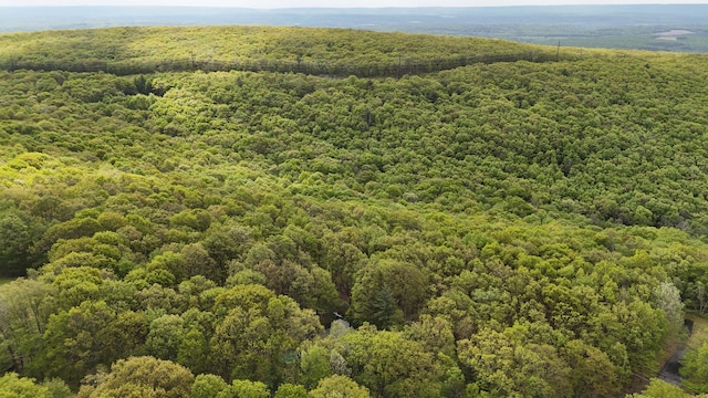 Arciel Dr, Albrightsville, PA 18210