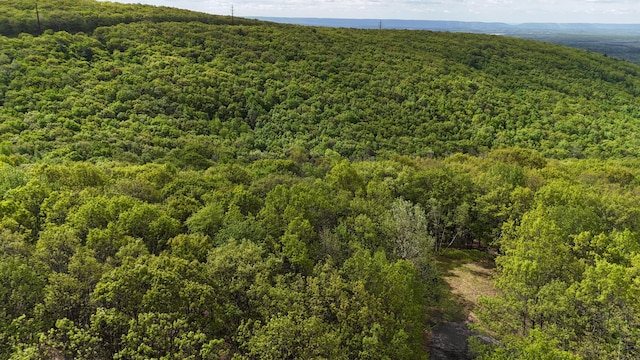 Arciel Dr, Albrightsville, PA 18210