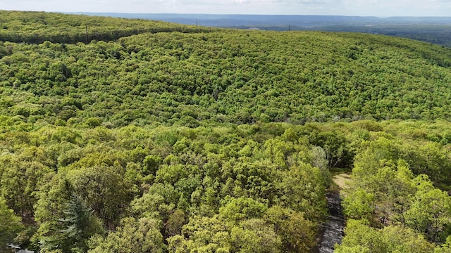 Arciel Dr, Albrightsville, PA 18210