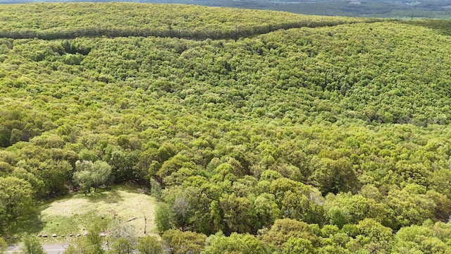 Arciel Dr, Albrightsville, PA 18210