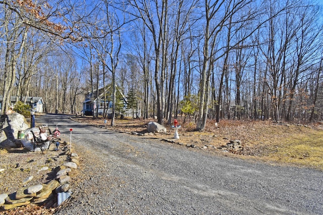 view of road featuring gravel driveway