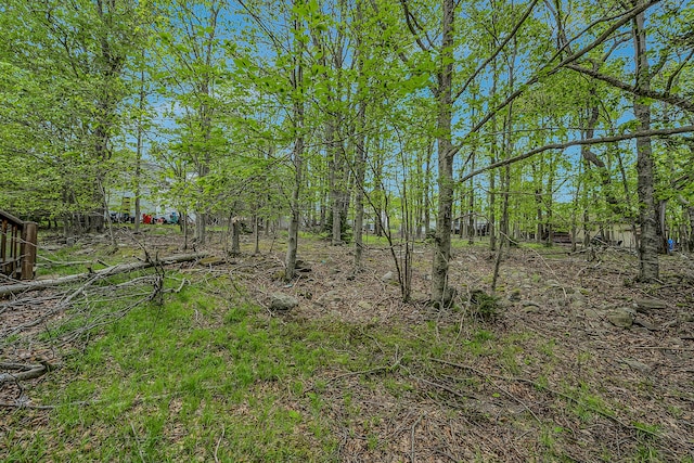 6163 Somers Ter, Tobyhanna, PA 18466 - view of yard