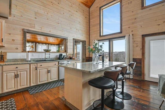 kitchen featuring stainless steel dishwasher, wood walls, dark wood-style flooring, and a sink