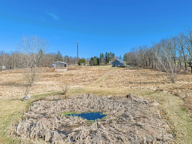 view of yard with a rural view