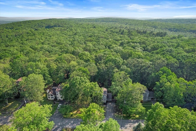 1237 Brentwood Dr, East Stroudsburg, PA 18301 - drone / aerial view of a forest