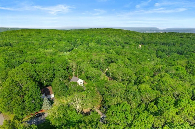1237 Brentwood Dr, East Stroudsburg, PA 18301 - aerial view of a heavily wooded area